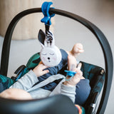 Whisbear Humming Bunny