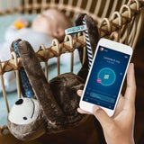 The Baba Co - Whisbear E-zzy The Sloth 3